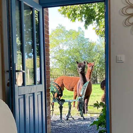 Vue Du Chateau A La Petite Ferme D'alpacas * Sanzay