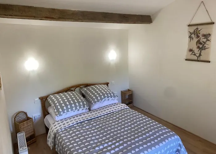 Vue Du Chateau A La Petite Ferme D'alpacas بيت للعطل *