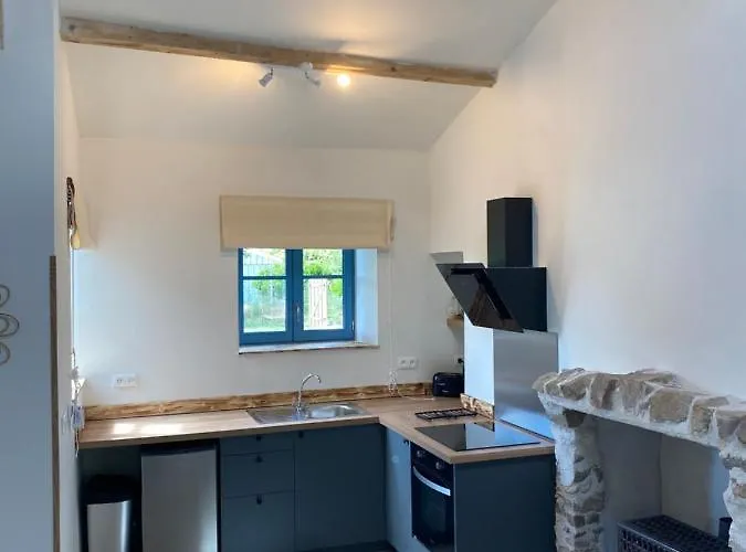 Vue Du Chateau A La Petite Ferme D'alpacas بيت للعطل *