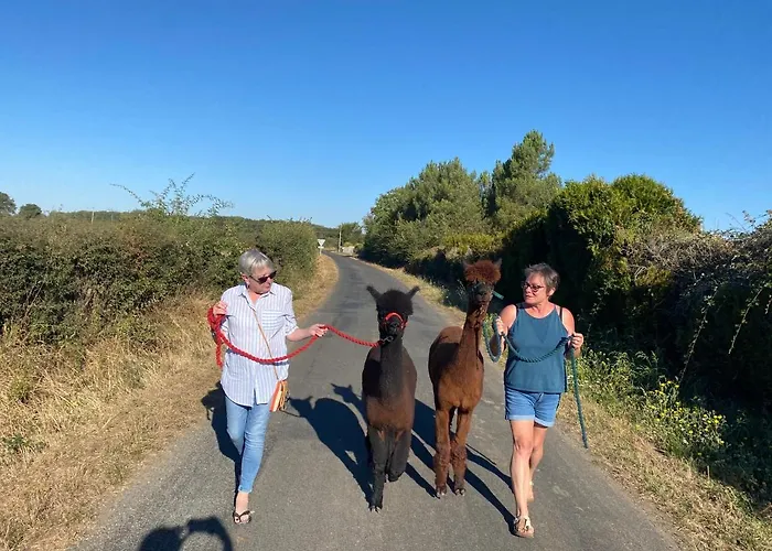 Vue Du Chateau A La Petite Ferme D'alpacas بيت للعطل Sanzay